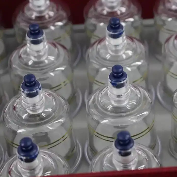 Coffret de Ventouses Hijama en polycarbonate (19 pcs) - Thérapie par ventouses